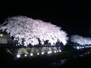 2010-04-06 20.36.55.jpg